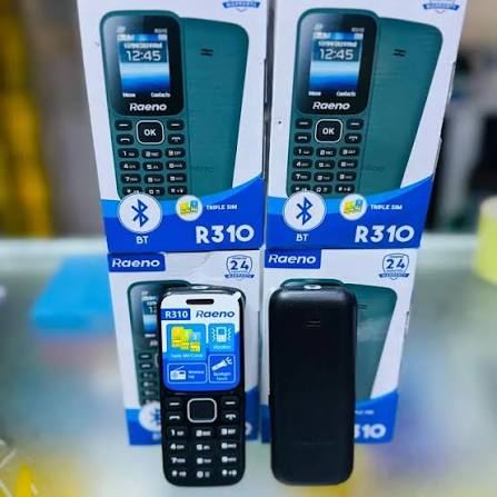 Raeno 310 Phone